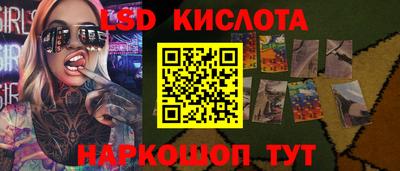 шишки Усть-Илимск