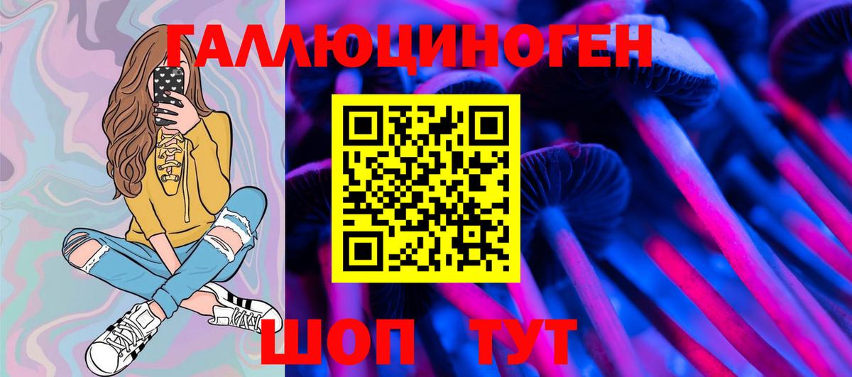 Галлюциногенные грибы прущие грибы  Вход с VPN  Нальчик 