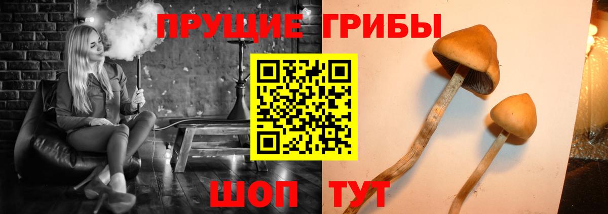 Псилоцибиновые грибы мухоморы Нальчик