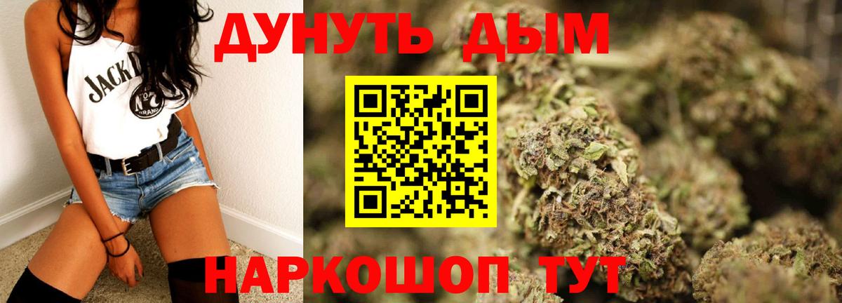 Каннабис конопля Нальчик